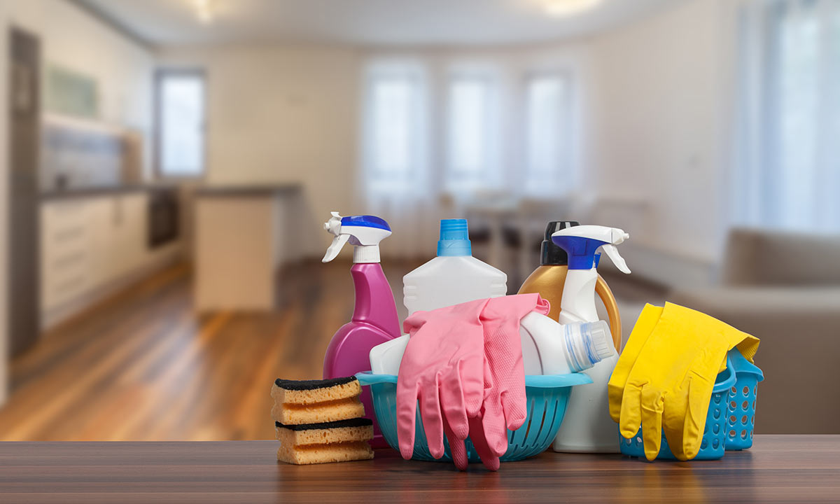 professional cleaning service